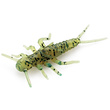 Stonefly 0.75
